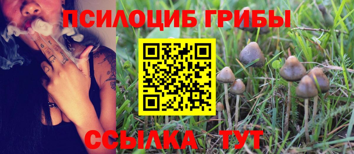 Клин  Галлюциногенные грибы Cubensis  Вход с VPN 